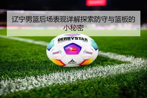 辽宁男篮后场表现详解探索防守与篮板的小秘密
